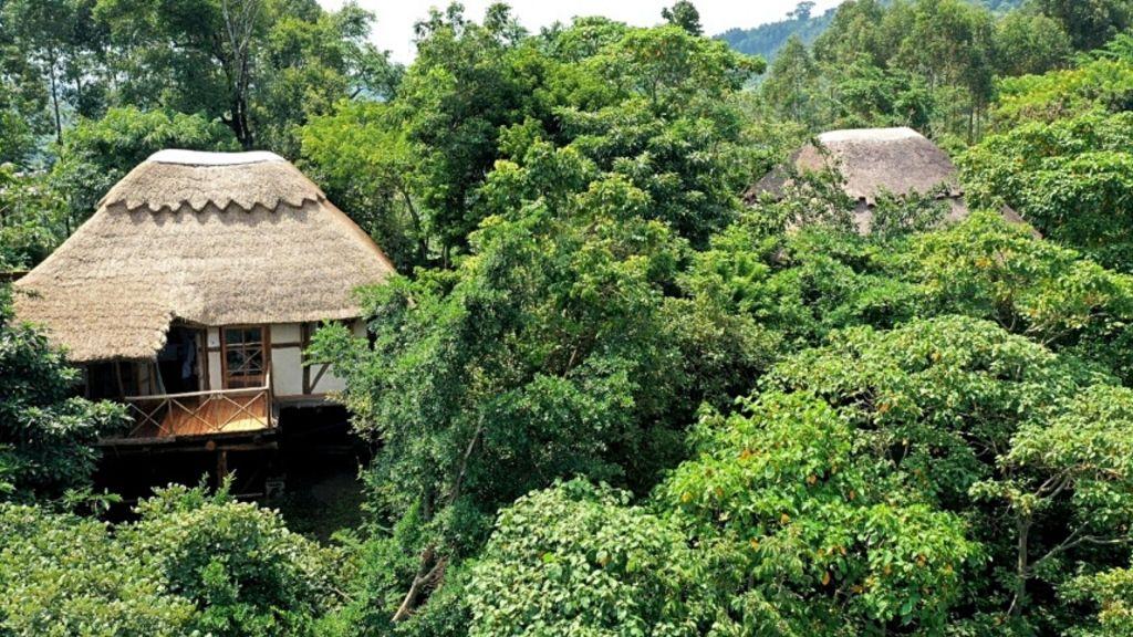 papaya lake lodge