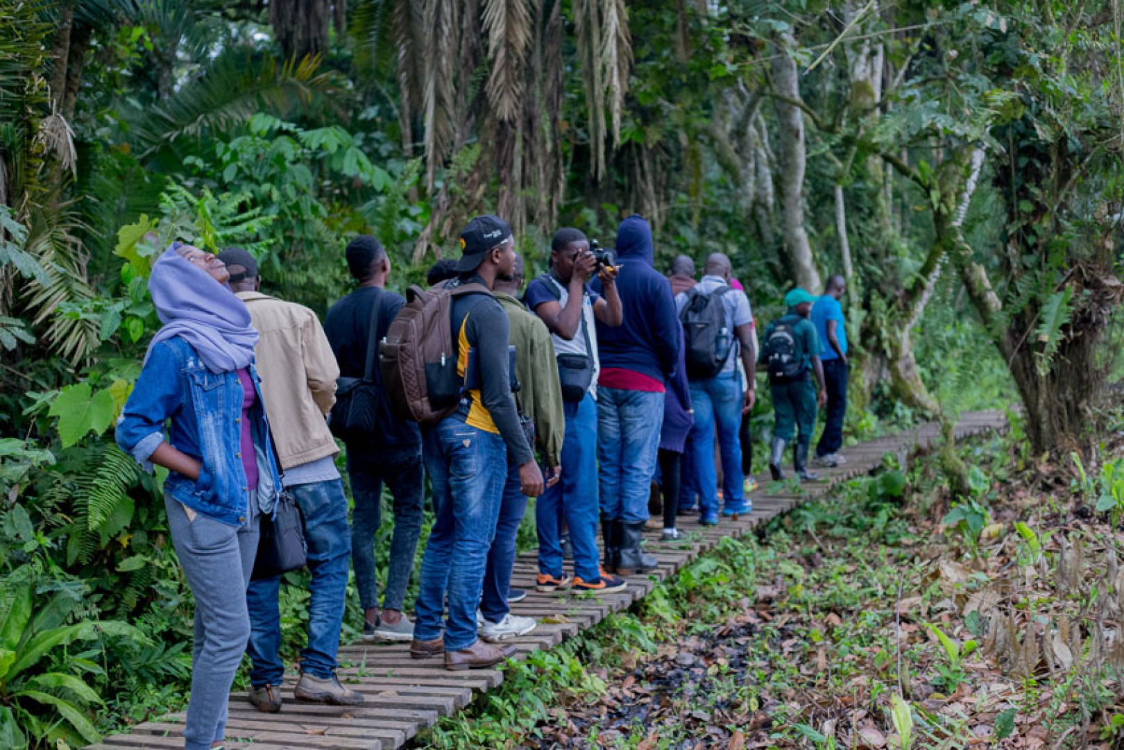 Bigodi nature walk