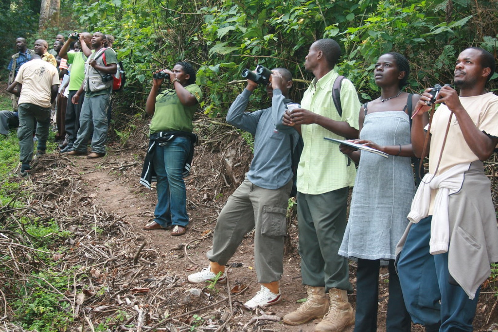 A birdwatching study trip in Kibale National Park
