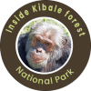 Inside Kibale Forest National Park