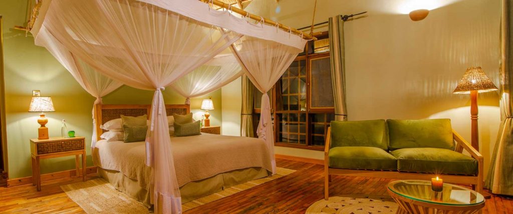 Side view inside a double room at Primate Safari Lodge