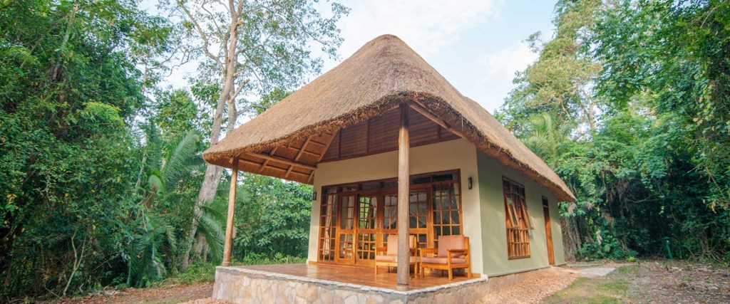 Outside view of one of the cottages at Primate Safari Lodge